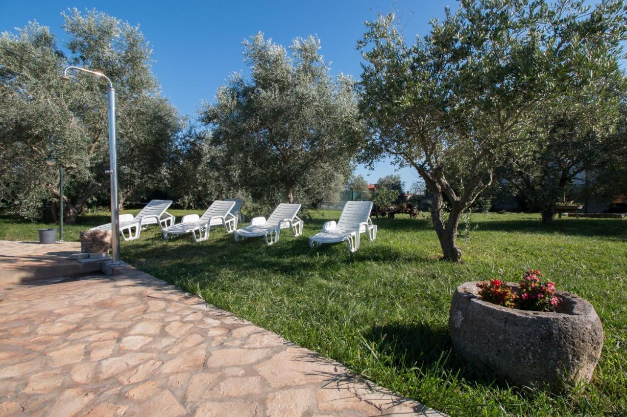 Wine House Apartments & Rooms Marceta Fažana Esterno foto